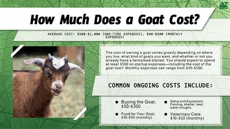 how much are goat seller fees
